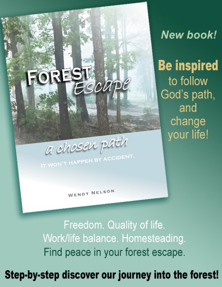 Forest Escape a chosen path book